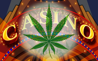 Fumer du cannabis au casino, c’est possible !