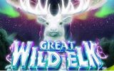 Great White Elk, le nouveau jeu de NextGen