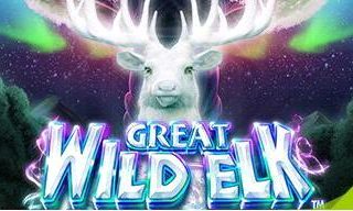 Great White Elk, le nouveau jeu de NextGen
